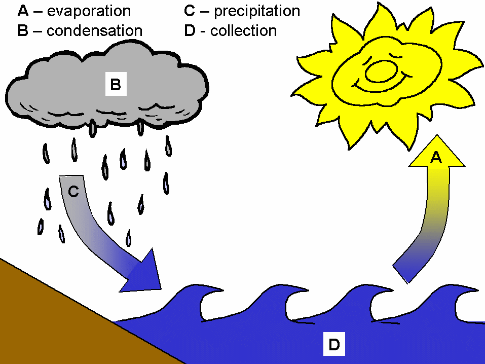 cwatercycle1